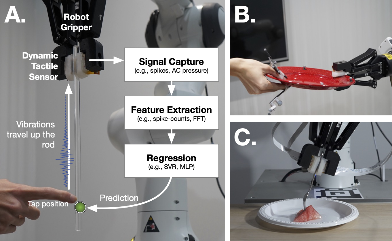 Extended Tactile Perception: Vibration Sensing through Tools and Grasped Objects